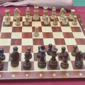 ajedrez tablero y piezas